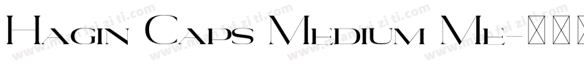 Hagin Caps Medium Me字体转换